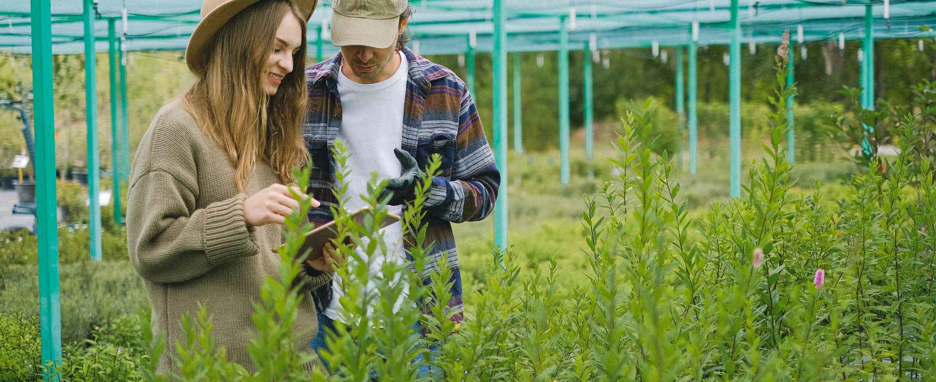 couple of gardeners browsing tablet for searching information
